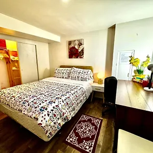 Homestay Cozy Private With Shared Bathroom On The 1st Floor - Conveniently Located Near Seatac Airport And Downtown, Seattle
